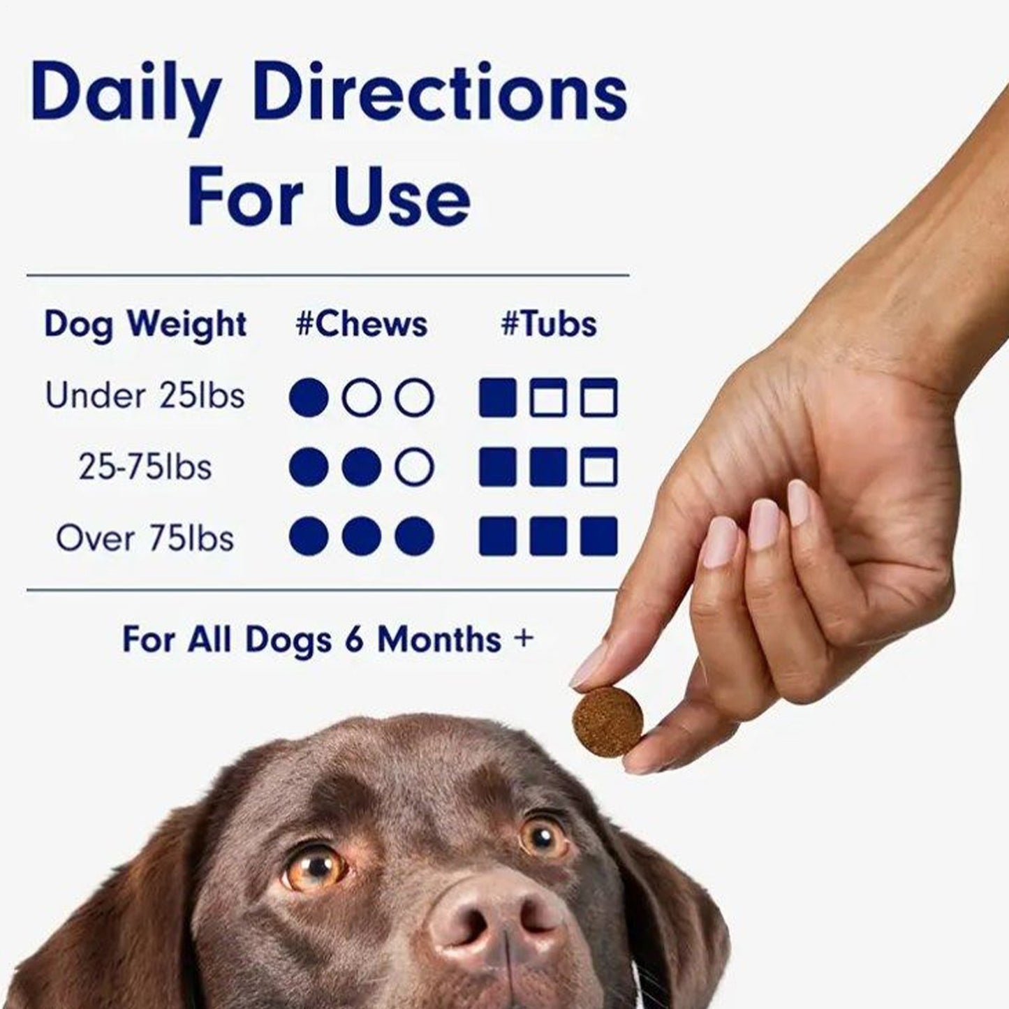 Allergy & Immune Daily Probiotics for Dogs