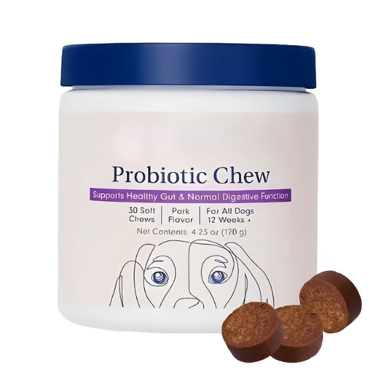 Allergy & Immune Daily Probiotics for Dogs